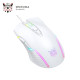 MOUSE ONIKUMA CW905 White USB GAMING WITH COLORFUL